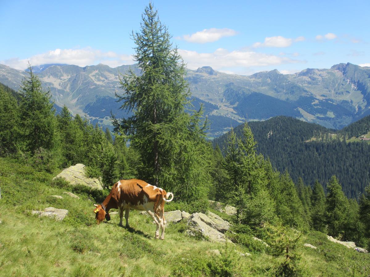 B&B Gottardo Airolo Zewnętrze zdjęcie