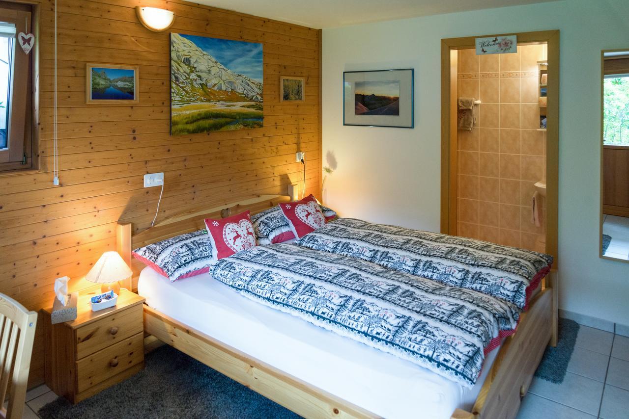 B&B Gottardo Airolo Zewnętrze zdjęcie