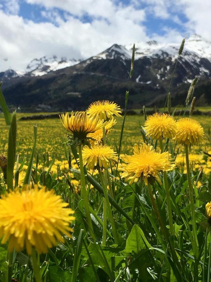 B&B Gottardo Airolo Zewnętrze zdjęcie